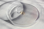Load image into Gallery viewer, Wave Diamond Small 14ct gold
